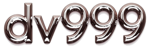 dv999 logo